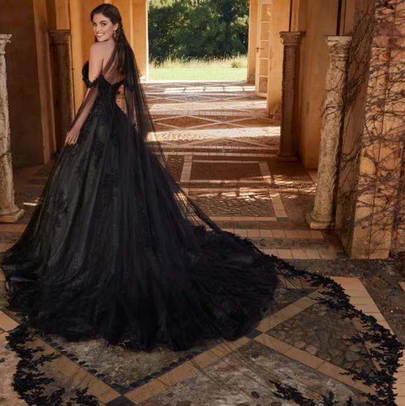 Black Sophia Tolli Wedding Dress - Picture 1 of 8